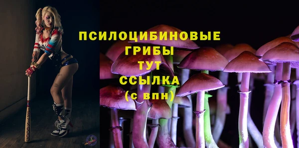 MDMA Аркадак