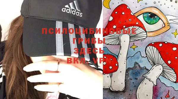 spice Арсеньев