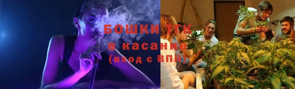 spice Арсеньев