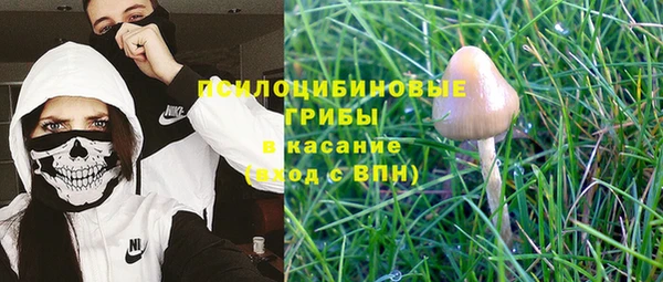 spice Арсеньев